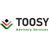 Toosy Advisory Services logo - Similar company to Amnashahofficial