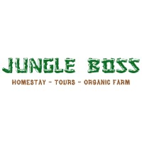 Jungle Boss logo - Similar company to Gutrip - Adventure & Outdoor Activities Service