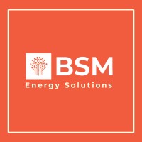 BSM ENERGY logo - Similar company to Inrep International Representation