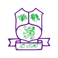 Io Vivat Nostrorum Sanitas logo - Similar company to Studio Raya