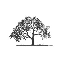 Bjork Capital Management LLC logo - Similar company to Wine Capital Fund