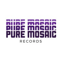 Pure Mosaic Records, LLC logo - Similar company to Circle Back Entertainment Group