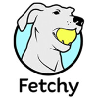 Fetchy logo - Similar company to Teamhive