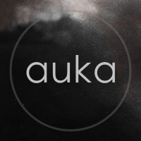Auka Studio logo - Similar company to Tekkli Ab