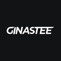 Ginastee logo - Similar company to Velocity Studio