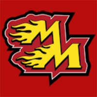 Mastermilo logo - Similar company to Pharmatool B.V.