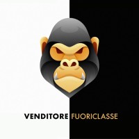 Venditore Fuoriclasse logo - Similar company to Venditore Vero