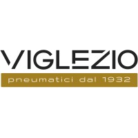 Viglezio Pneumatici SA logo - Similar company to Flame Sa