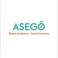 Asego logo - Similar company to Niyati Tech