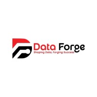 Data Forge logo - Similar company to Data Forge