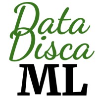 DataDisca logo - Similar company to Pulz Technologies Ltd