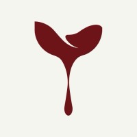 Cellarmasters logo - Similar company to Think4 | It Management Group