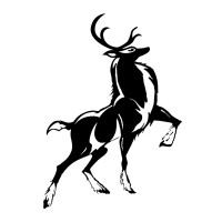 Nix Technology logo - Similar company to Nixtech