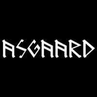 Jeugdhuis Asgaard logo - Similar company to Argon Av