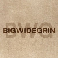 Big Wide Grin logo - Similar company to W Corp