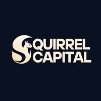 Squirrel Capital logo - Similar company to M-Three Satcom Srl