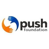 PUSH Foundation logo - Similar company to Exee Solutions