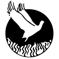 Phoenix Down Corporation logo - Similar company to Amko Displays