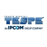 TESPE SRL - ITALY logo - Similar company to Focus Ingegneria