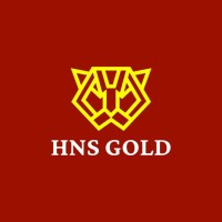 HNS Gold logo - Similar company to Hayatics