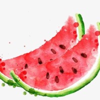Watermelon Sessions logo - Similar company to With You Aba Centre