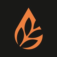 OGV Taproom logo - Similar company to Talentbridge Solution