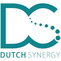 Dutch Synergy logo - Similar company to Seo Sight