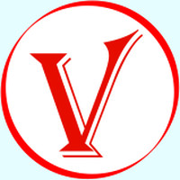 VLGS Technologies Pvt Ltd logo - Similar company to Digielite Technologies