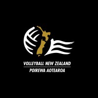 Volleyball New Zealand logo - Similar company to Panelform