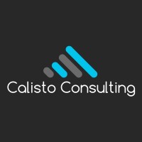 Calisto Consulting logo - Similar company to Lp2A Expertise & Conseil