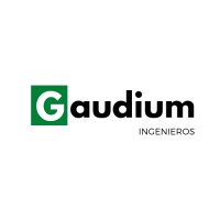 GAUDIUM Ingenieros logo - Similar company to Dynamis Associates