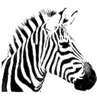 Hippocratekst logo - Similar company to Beleefrijk