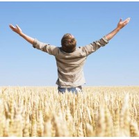 Bondstones logo - Similar company to Archiwest Architecture & Heritage