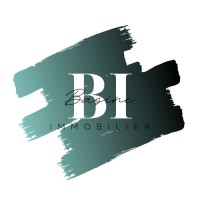 Basine Immobilier