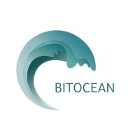 BitOcean logo - Similar company to Sync Ltda