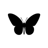 Butterfly Biomedical logo - Similar company to World Top Docs