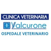 Clinica Veterinaria Valcurone logo - Similar company to Ambulatorio Veterinario