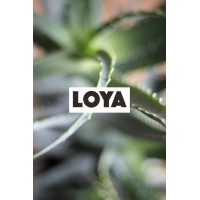LOYA logo - Similar company to Greenline