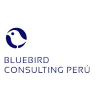 Bluebird Consulting