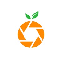 Grove Media logo - Similar company to Web Design Seo