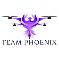 The Phoenix Club | MIT World Peace University logo - Similar company to Team Pro-Karters