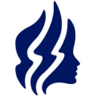 Artemis Innovations Hungary logo - Similar company to Artemis Innovations Gmbh