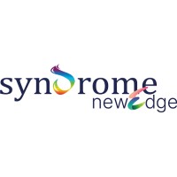 Syndrome NewEdge logo - Similar company to Cisco Network Learning