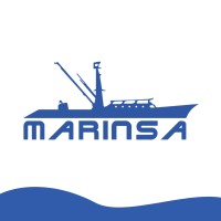 Marinsa International Inc. logo - Similar company to Mecanasa