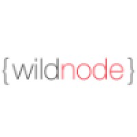Wildnode logo - Similar company to Cognacq-Jay Image