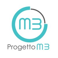 Progetto Emme Tre srl logo - Similar company to N Lam