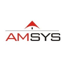 AMSYS Group logo - Similar company to High Circle