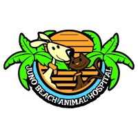 Juno Beach Animal Hospital logo - Similar company to Juno Beach Optical