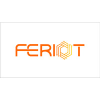 Feriot Elektronik logo - Similar company to Wikigiga