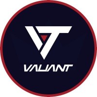 Team Valiant logo - Similar company to F9Hetic